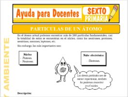 Modelo de la Ficha de Partículas de un Átomo para Sexto de Primaria