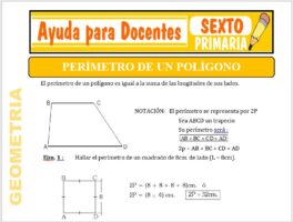 Modelo de la Ficha de Perímetro de un Polígono para Sexto de Primaria