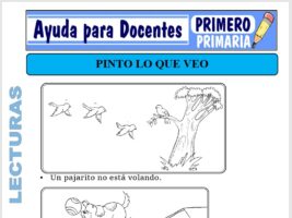 Modelo de la Ficha de Pinto lo Que Veo para Primero de Primaria