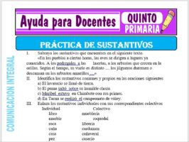 Modelo de la Ficha de Practica de los Sustantivos para Quinto de Primaria
