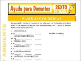 Modelo de la Ficha de Principales Familias Químicas para Sexto de Primaria