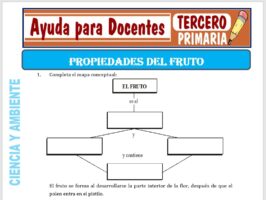 Modelo de la Ficha de Propiedades del Fruto para Tercero de Primaria