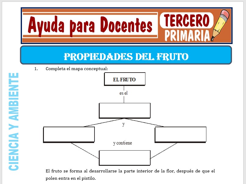 Modelo de la Ficha de Propiedades del Fruto para Tercero de Primaria Modelo de la Ficha de Propiedades del Fruto para Tercero de Primaria