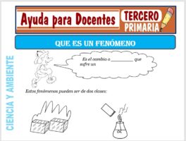 Modelo de la Ficha de Que es un Fenómeno para Tercero de Primaria