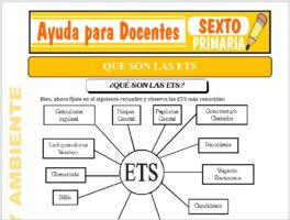 Modelo de la Ficha de Que son las ETS para Sexto de Primaria