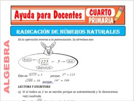 Modelo de la Ficha de La Radicación de Números Naturales. para Cuarto de Primaria