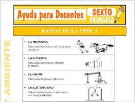 Modelo de la Ficha de Ramas de la Física para Sexto de Primaria