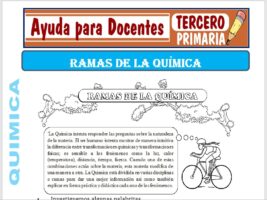 Modelo de la Ficha de Ramas de la Química para Tercero de Primaria