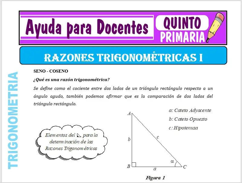 Modelo de la Ficha de Razones Trigonométricas I para Quinto de Primaria