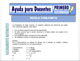 Modelo de la Ficha de Regla Conjunta para Primero de Secundaria