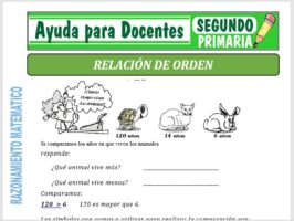Modelo de la Ficha de Relación de Orden para Segundo de Primaria