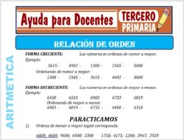 Modelo de la Ficha de Relación de Orden para Tercero de Primaria