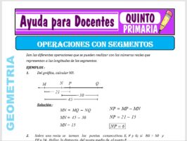 Modelo de la Ficha de Relaciones Binarias para Quinto de Primaria