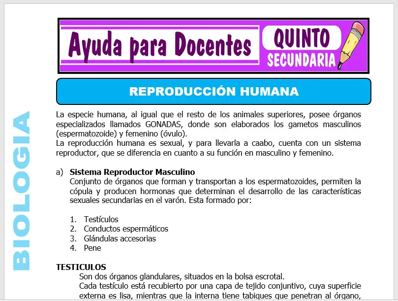 Modelo de la Ficha de La Reproducción Humana para Quinto de Secundaria