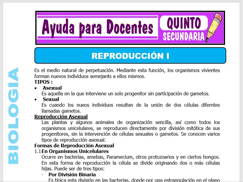 Modelo de la Ficha de Reproducción I para Quinto de Secundaria
