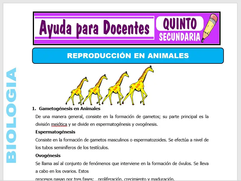 Modelo de la Ficha de Reproducción en Animales para Quinto de Secundaria