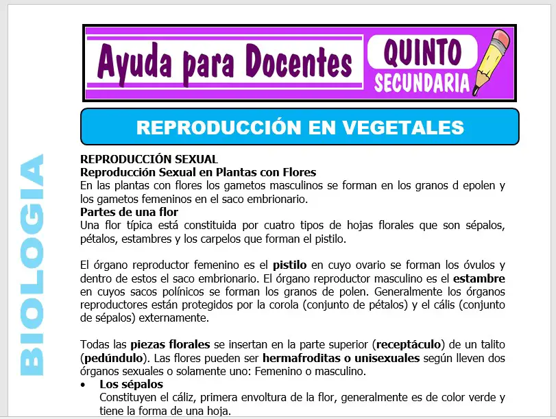 Modelo de la Ficha de Reproducción en Vegetales para Quinto de Secundaria