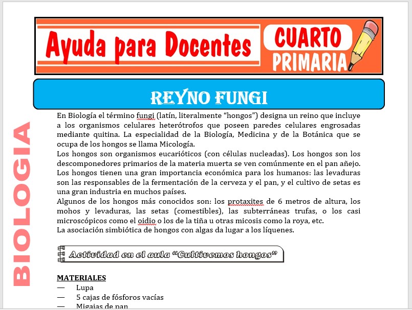 Modelo de la Ficha de Reino Fungi para Cuarto de Primaria