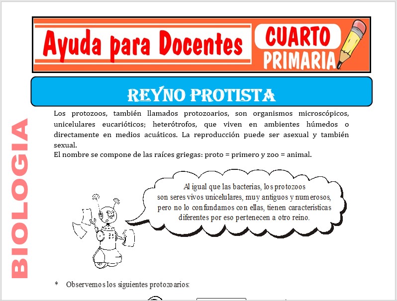 Modelo de la Ficha de Reino Protista para Cuarto de Primaria