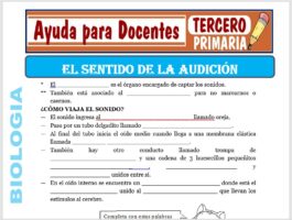Modelo de la Ficha de El Sentido de la Audición para Tercero de Primaria
