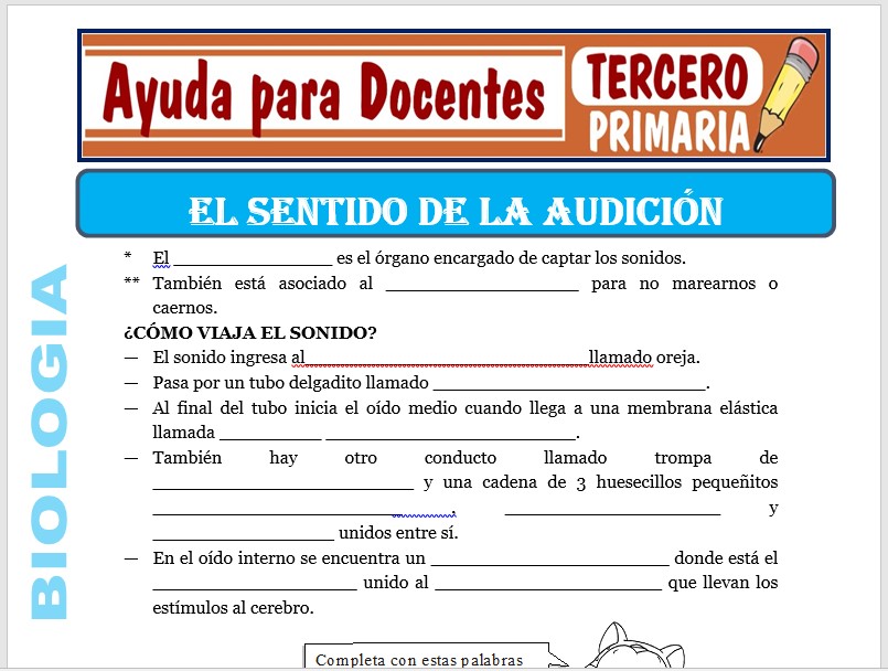 Modelo de la Ficha de El Sentido de la Audición para Tercero de Primaria