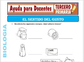 Modelo de la Ficha de Sentido del Gusto para Tercero de Primaria