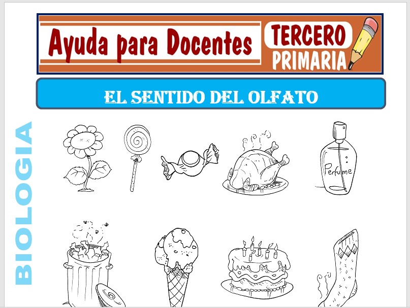 Modelo de la Ficha de El Sentido del Olfato para Tercero de Primaria