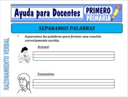 Modelo de la Ficha de Separamos Palabras para Primero de Primaria