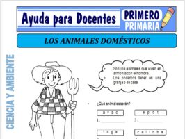 Modelo de la Ficha de Separatas de Animales Domésticos para Primero de Primaria