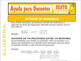 Modelo de la Ficha de Separatas de División de Monomios para Sexto de Primaria