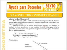 Modelo de la Ficha de Separatas de Razones Trigonométricas III para Sexto de Primaria