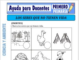 Modelo de la Ficha de Seres Que no Tienen Vida para Primero de Primaria
