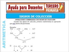 Modelo de la Ficha de Signos de colección para Tercero de Primaria