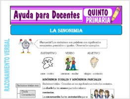 Modelo de la Ficha de La Sinonimia para Quinto de Primaria