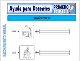 Modelo de la Ficha de Sinónimos para Primero de Primaria