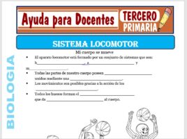 Modelo de la Ficha de Sistema Locomotor para Tercero de Primaria