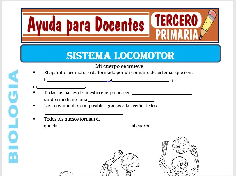 Modelo de la Ficha de Sistema Locomotor para Tercero de Primaria