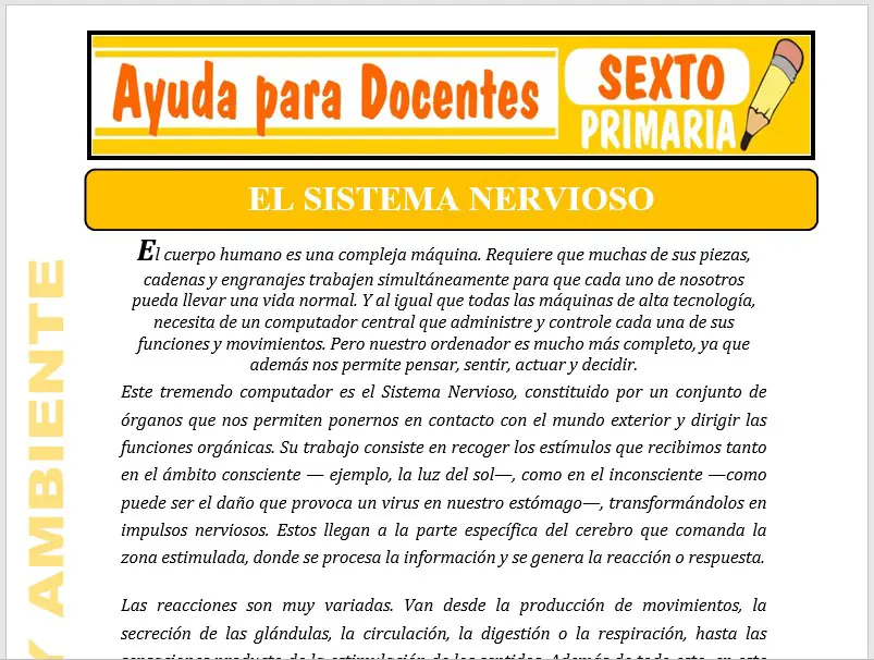 Modelo de la Ficha de El Sistema Nervioso para Sexto de Primaria Modelo de la Ficha de El Sistema Nervioso para Sexto de Primaria