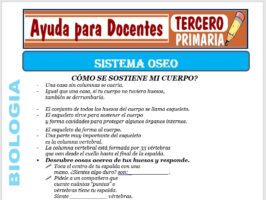 Modelo de la Ficha de El Sistema Óseo para Tercero de Primaria
