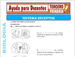 Modelo de la Ficha de Sistema Receptor para Tercero de Primaria