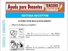 Modelo de la Ficha de Sistema Receptor para Tercero de Primaria