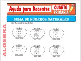 Modelo de la Ficha de Suma de Números Naturales para Cuarto de Primaria