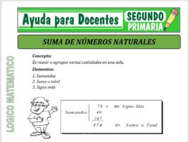 Modelo de la Ficha de Suma de Números Naturales para Segundo de Primaria