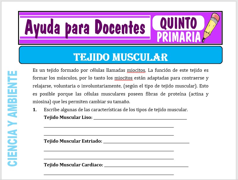 Modelo de la Ficha de Tejido Muscular para Quinto de Primaria Modelo de la Ficha de Tejido Muscular para Quinto de Primaria
