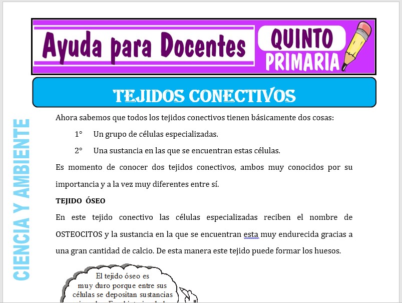 Modelo de la Ficha de Tejidos Conectivos para Quinto de Primaria Modelo de la Ficha de Tejidos Conectivos para Quinto de Primaria