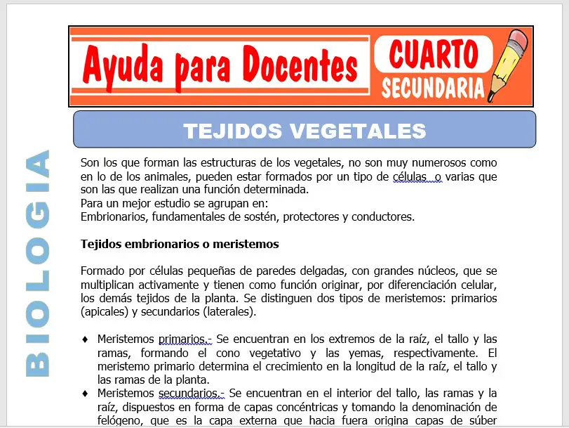 Modelo de la Ficha de Tejido de Vegetales para Cuarto de Secundaria
