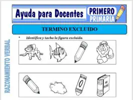 Modelo de la Ficha de Termino Excluido para Primero de Primaria