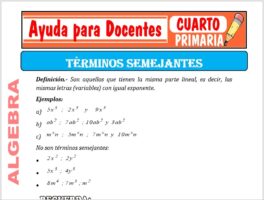 Modelo de la Ficha de Términos Semejantes para Cuarto de Primaria