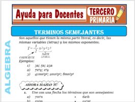 Modelo de la Ficha de Términos Semejantes para Tercero de Primaria