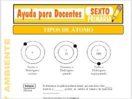 Modelo de la Ficha de tipos de Átomos para Sexto de Primaria